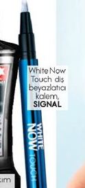 Signal White Now Touch Diş Beyazlatma Kalem