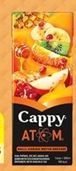 Cappy Atom Ballı Karışık Meyve Nektarı