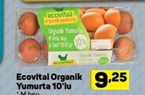 Ecovital Organik Yumurta 10lu