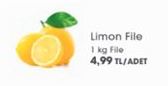 Limon File