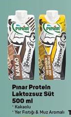 Pınar Protein Laktozsuz Süt
