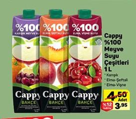 Cappy %100 Meyve Suyu