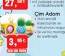 Cam Adam