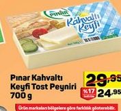 Pınar Kahvaltı Keyfi Tost Peyniri