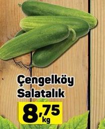 Çengelköy Salatalık