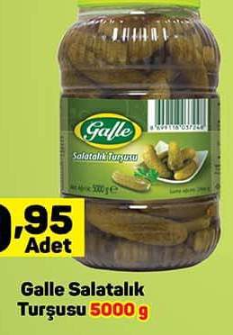 Galle Salatalık Turşusu 5000 g