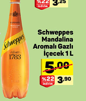 Schweppes Mandalina Aromalı Gazlı İçecek