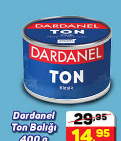 Dardanel Ton Balığı