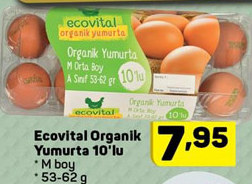 Ecovital Organik Yumurta 10lu