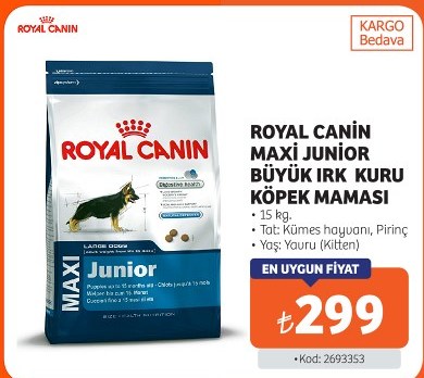 Royal Canin Maxi Junior Büyük Irk Kuru Köpek Maması