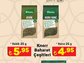 Knorr Baharat