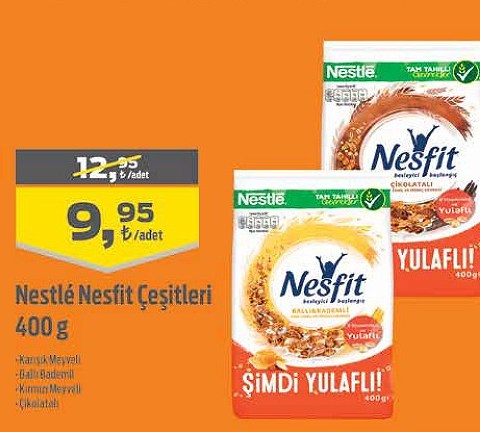 Nestle Nesfit Çeşitleri 400 g