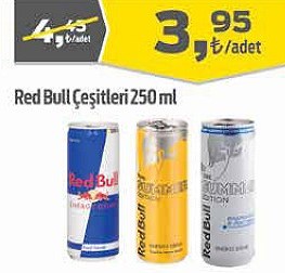 Red Bull Çeşitleri 250 ml
