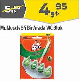 Mr.Muscle 5i Bir Arada WC Blok