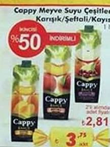 Cappy Meyve Suyu Çeşitleri Karışık Şeftali Kayısı