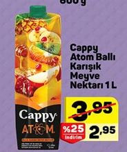 Cappy Atom Ballı Karışık Meyve Nektarı