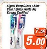 Signal Deep Clean Slim Care Shiny White Diş Fırçası