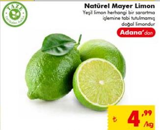 Natürel Mayer Limon