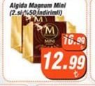 Algida Magnum Mini