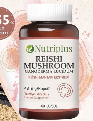 Nutriplus Reishi Mushroom